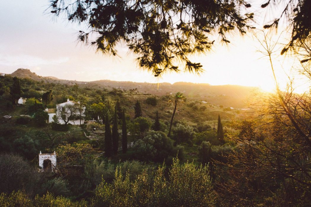 Sunset over the Andalucia countryside, Spain